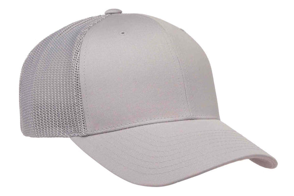 Gorra Flexfit Trucker Snapback 6606 Silver