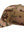 Gorra Flexfit 6277MC Multicam